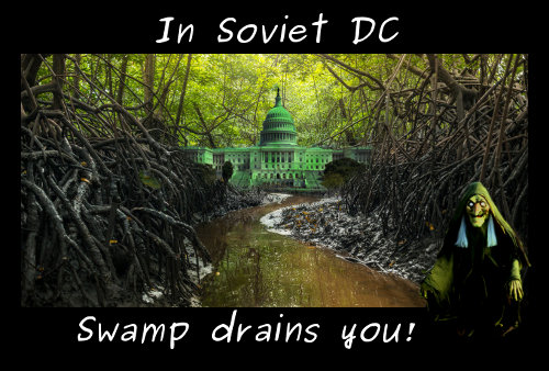 DCswamp.jpg