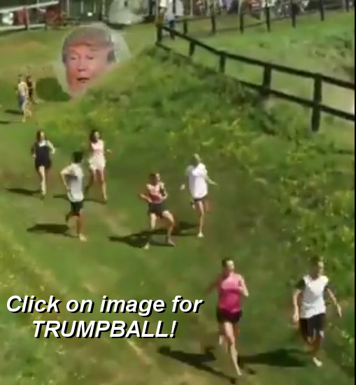 TrumpBall.jpg